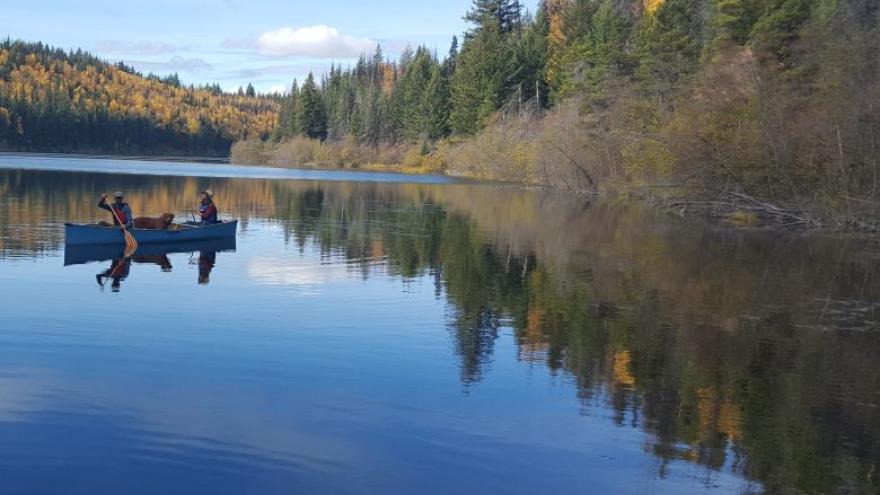 canoe on lake
