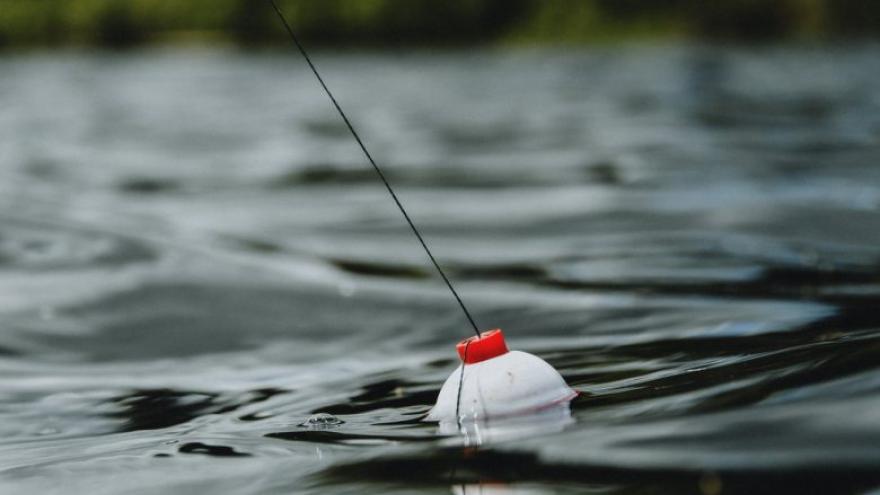 bobber in water